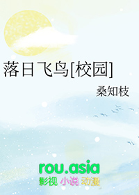 落日飞行歌曲原唱